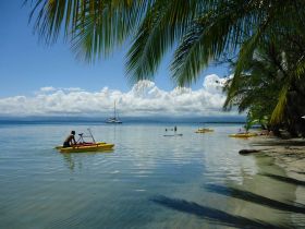 Bocas del Toro, Panama, retire, gringo, expat, Starfish Beach, Caribbean, lifestyle – Best Places In The World To Retire – International Living